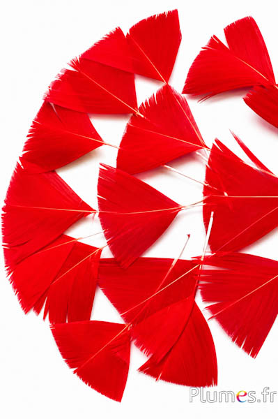 Pétales en plumes - 6-8 x 3-4 cm - rouge